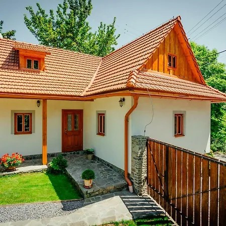 Dom wakacyjny Stara Mytnica *